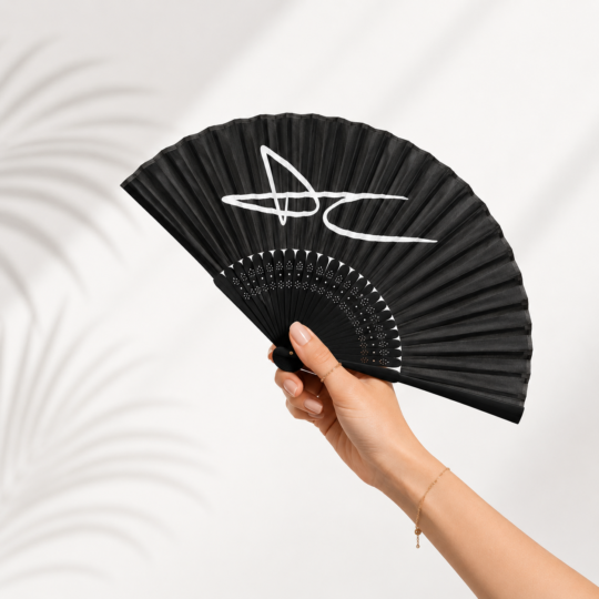 DC BLACK FAN